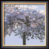 Buy Spring Blossom I at AllPosters.com