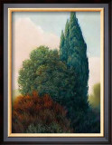 Buy Tuscan Trees II at AllPosters.com