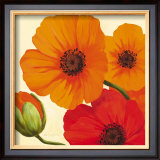 Buy California Poppies at AllPosters.com
