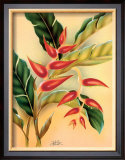 Buy Heliconia at AllPosters.com