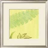 Buy Feather Leaf at AllPosters.com
