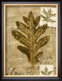 Buy Leaf Collage I at AllPosters.com