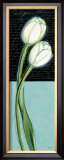 Buy White Tulip at AllPosters.com