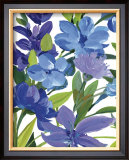 Buy Periwinkle Border Beauty at AllPosters.com