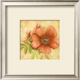 Buy Timeless II at AllPosters.com