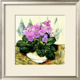 Buy Tea Time I at AllPosters.com