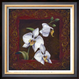 Buy Orchid Study I at AllPosters.com