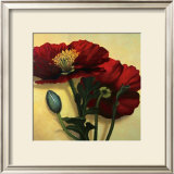 Buy Poppies at AllPosters.com