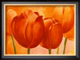 Buy Peach Tulips at AllPosters.com