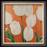 Buy White Tulips at AllPosters.com