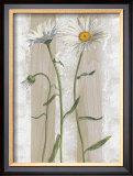 Buy Daisies at AllPosters.com