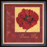 Dream, Poppy