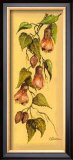 Buy Flores Colgantes II at AllPosters.com