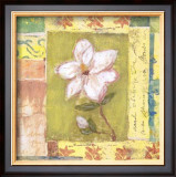 Magnolia Bloom