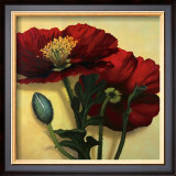 Buy Poppies at AllPosters.com