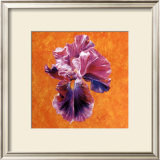 Buy Un Amour d'Iris at AllPosters.com