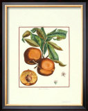Buy Teton de Venus at AllPosters.com