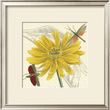 Buy Indian Cup at AllPosters.com