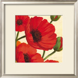 Buy Hawaiian Poppies at AllPosters.com