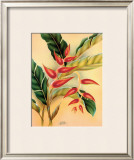 Buy Heliconia at AllPosters.com