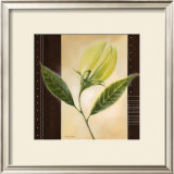 Buy Dancing Leafs at AllPosters.com