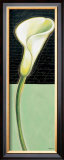 Buy White Lily at AllPosters.com