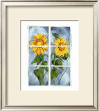 Sunflowers at the Window
