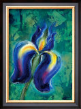 Buy Iris II at AllPosters.com