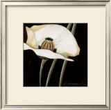 Buy Excellent II at AllPosters.com