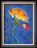 Buy Carnation at AllPosters.com