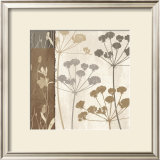 Buy Flowers and Ferns I at AllPosters.com