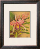 Buy Pink Cattleya at AllPosters.com