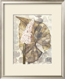 Buy Amazonia III at AllPosters.com