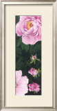 Time of Flowering II