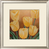 Buy Orange Tulips at AllPosters.com