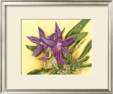 Buy Vibrant Orchid IV at AllPosters.com
