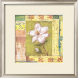 Magnolia Bloom