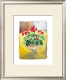 Buy Primula at AllPosters.com