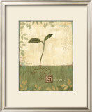 Buy Grow and Bloom I at AllPosters.com