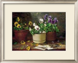 Buy Pansies in Terra Cotta at AllPosters.com