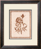 Buy Sepia Rose II at AllPosters.com