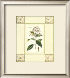 Cinnamon with Mosaic