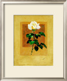 Buy Long Stem Rose at AllPosters.com