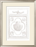 Buy Shell Panel at AllPosters.com
