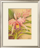 Buy Pink Cattleya at AllPosters.com