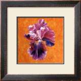 Buy Un Amour d'Iris at AllPosters.com