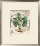 Global View I