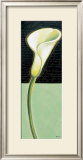 Buy White Lily at AllPosters.com