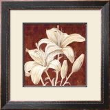 Buy Beautiful at AllPosters.com