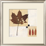 Buy Indian Summer at AllPosters.com